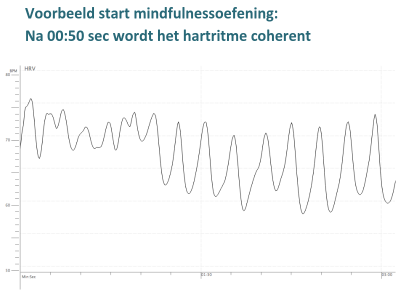 De invloed van MBSR op uw HRV en dus uw stress